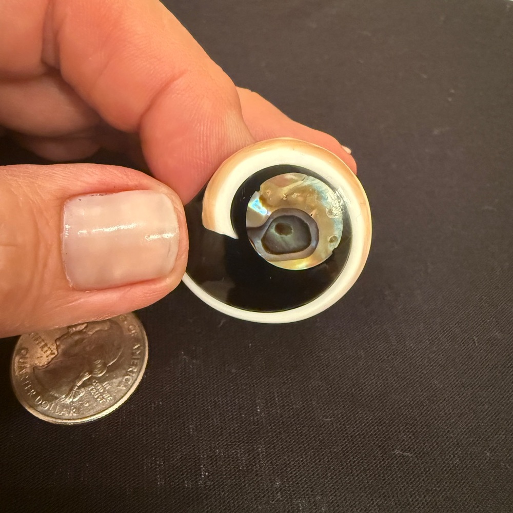 Natural Shell and Abalone Shell Ring